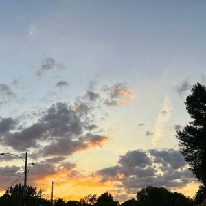 Meet your Posher, Dalii